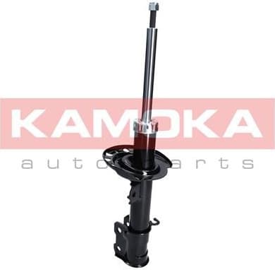 Shock absorber front 2000243
