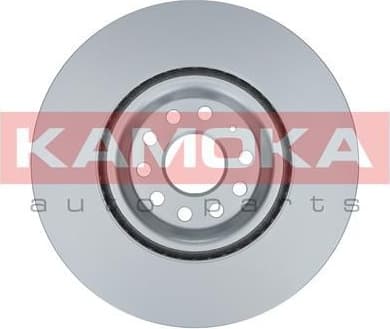 Brake discs kit front (2pcs) 103313 - image 2