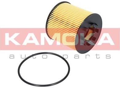 Oil Filter F105701 - image 6