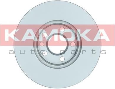Brake Disc 1031109 - image 4