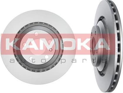 Brake discs kit rear, (2pcs) 1031041