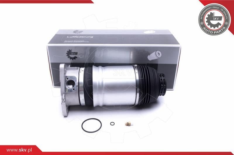 Air Suspension Strut 58SKV067