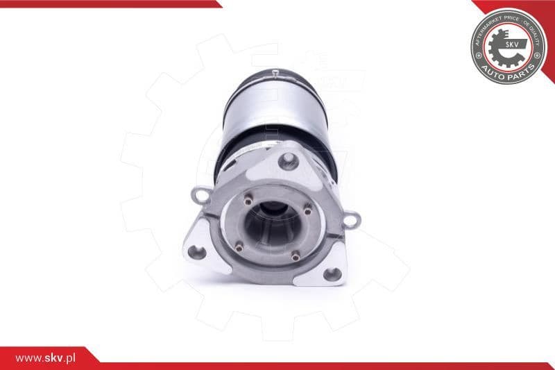 Air Suspension Strut 58SKV067 - image 2