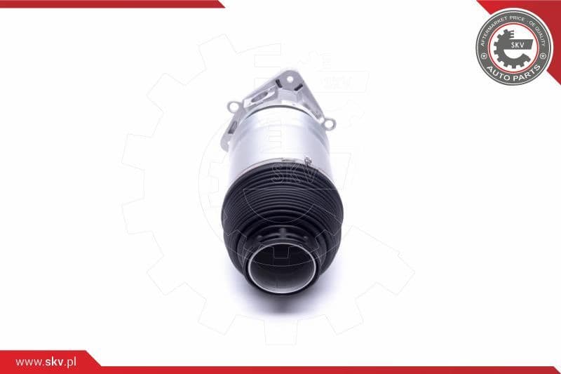 Air Suspension Strut 58SKV067 - image 3