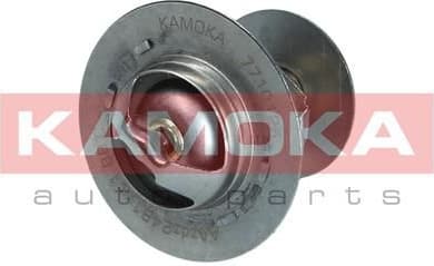 Thermostat, coolant 7710125 - image 7