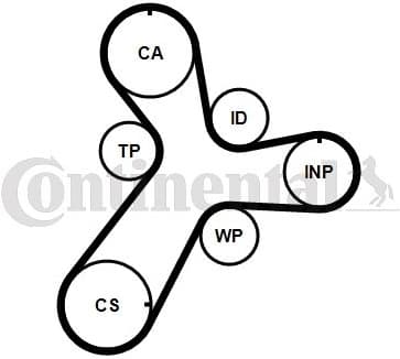 Timing Belt CT1237 - image 2