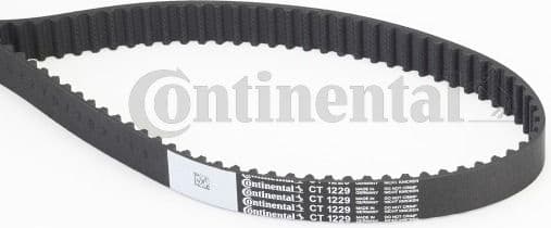 Timing Belt CT1229