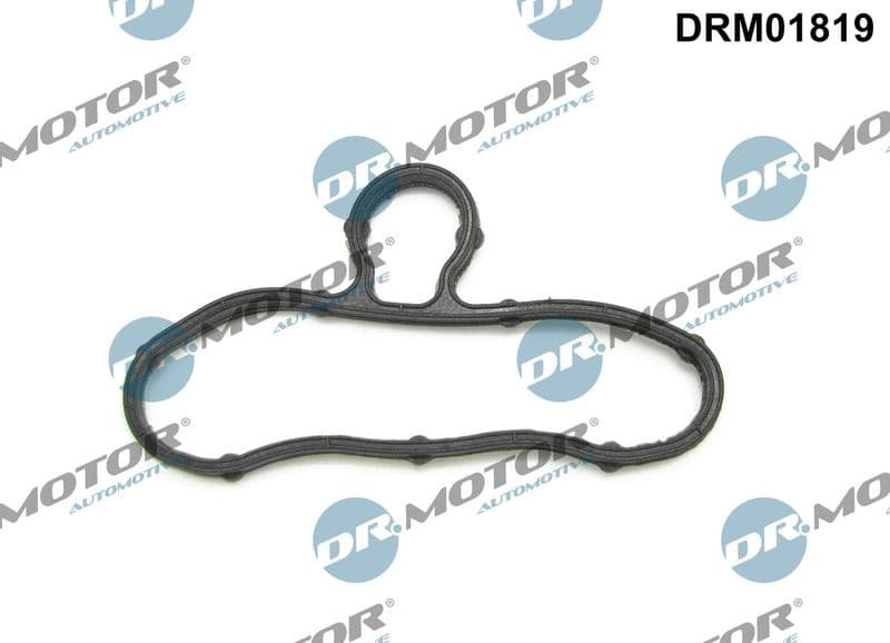 Gasket, timing case cover DRM01819