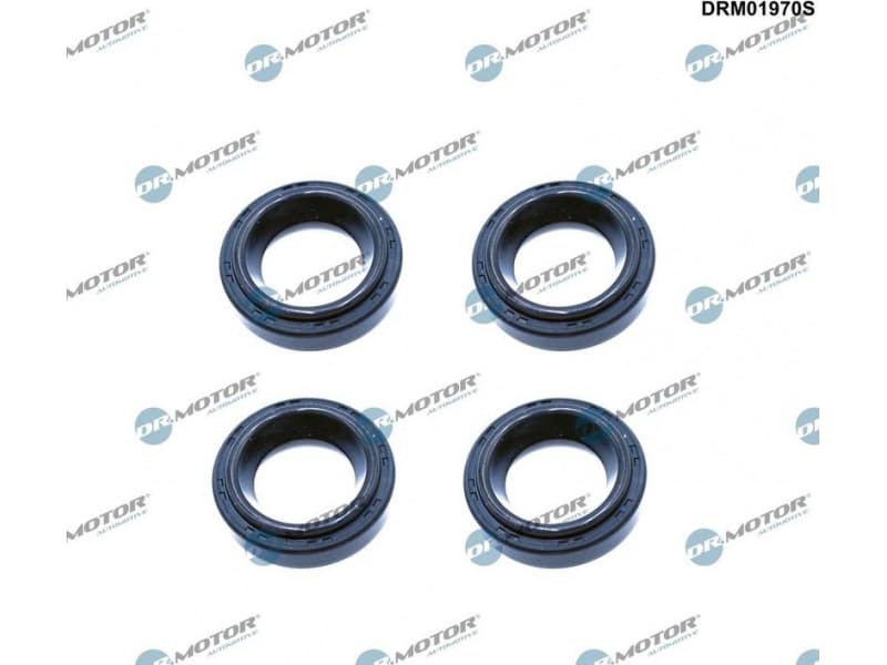 Seal Ring, spark plug shaft DRM01970S