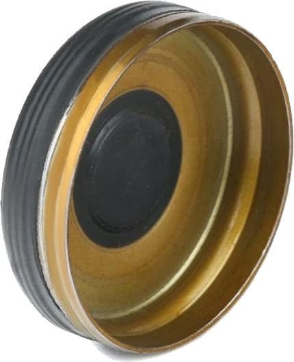 Plug, rocker arm shaft mounting bore 82331298