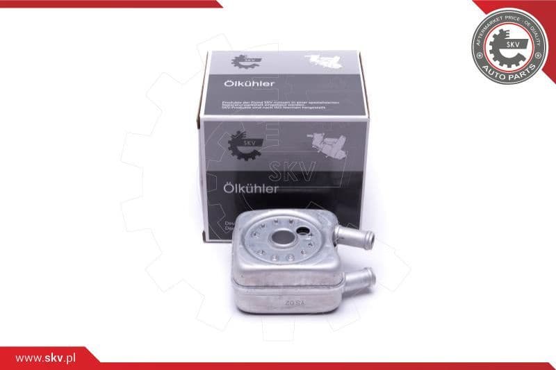 Oil Cooler, engine oil 31SKV204