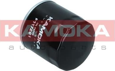 Oil Filter F117201 - image 6