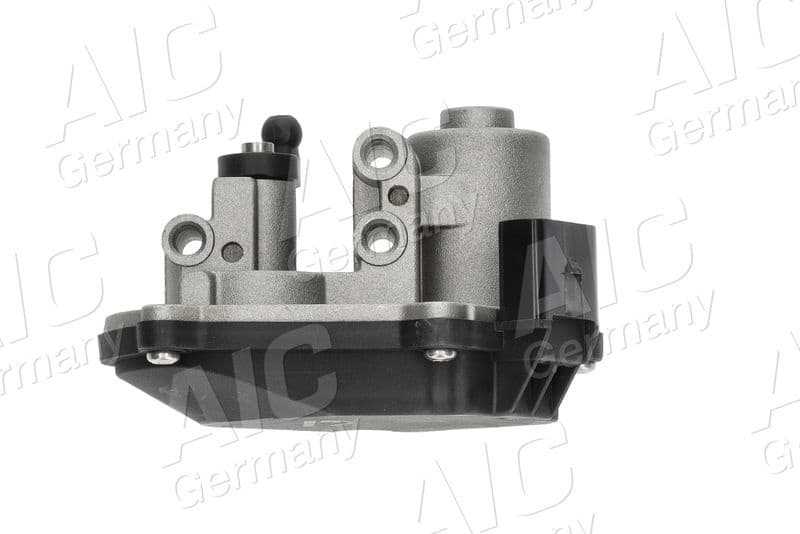 Control, swirl flaps (induction pipe) Original AIC Quality 58363
