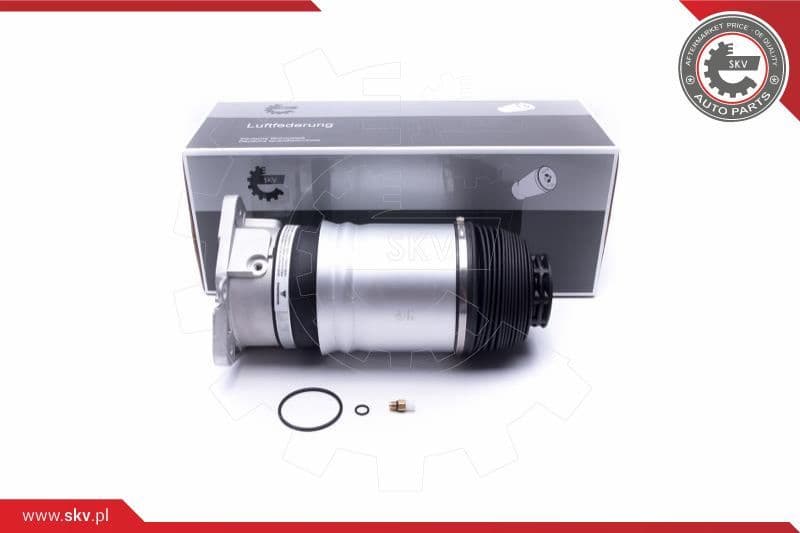 Air Suspension Strut 58SKV068