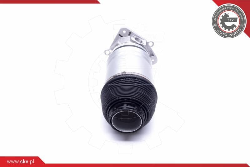Air Suspension Strut 58SKV068 - image 2