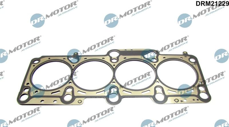 Gasket, cylinder head DRM21229