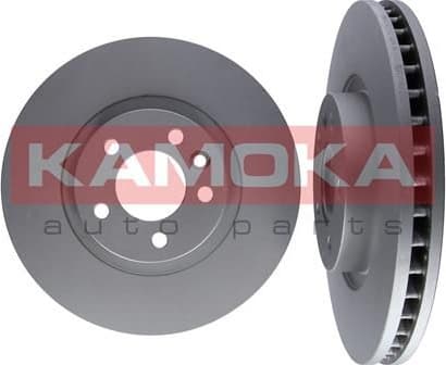 Brake discs kit front (2pcs) 1031119