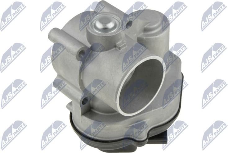 Throttle Body ETB-FR-001