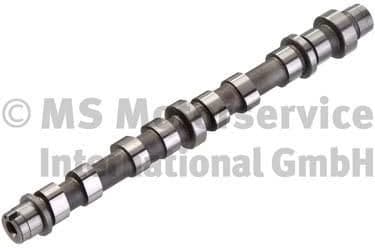 Camshaft 50007107