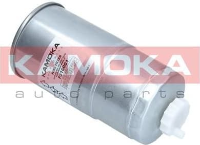 Fuel Filter F316001 - image 6