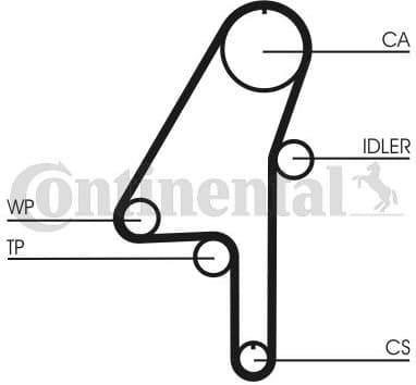 Water Pump & Timing Belt Kit CT1010WP1 - image 2