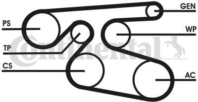 V-ribbed Belt 7PK2000