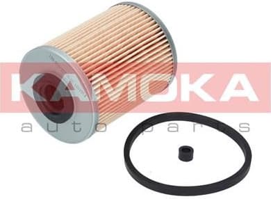 Fuel Filter F301101 - image 5