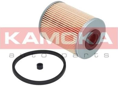 Fuel Filter F301101 - image 6