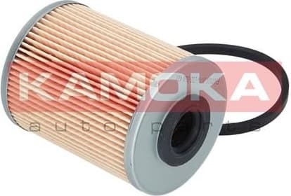 Fuel Filter F301101 - image 8
