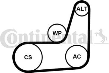 V-ribbed Belt Set 6PK1019 ELAST T2