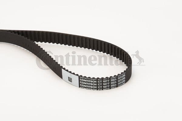 Timing Belt CT1077