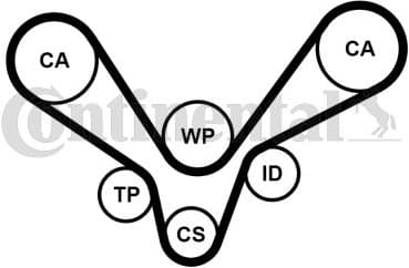 Water Pump & Timing Belt Kit CT1015WP1 - image 2