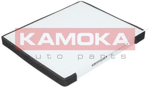 Filter, cabin air F415501 - image 6