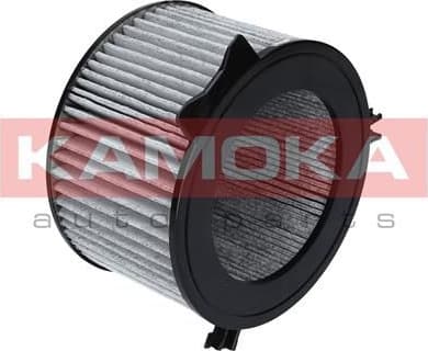 Filter, cabin air F501301 - image 7