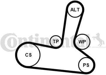 V-ribbed Belt Set 5PK1300K1 - image 2