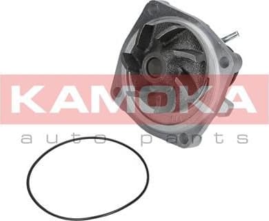 Water Pump, engine cooling T0006 - image 6