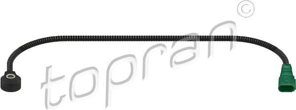 Knock Sensor 113 838