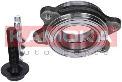 Bearing wheel 5500153