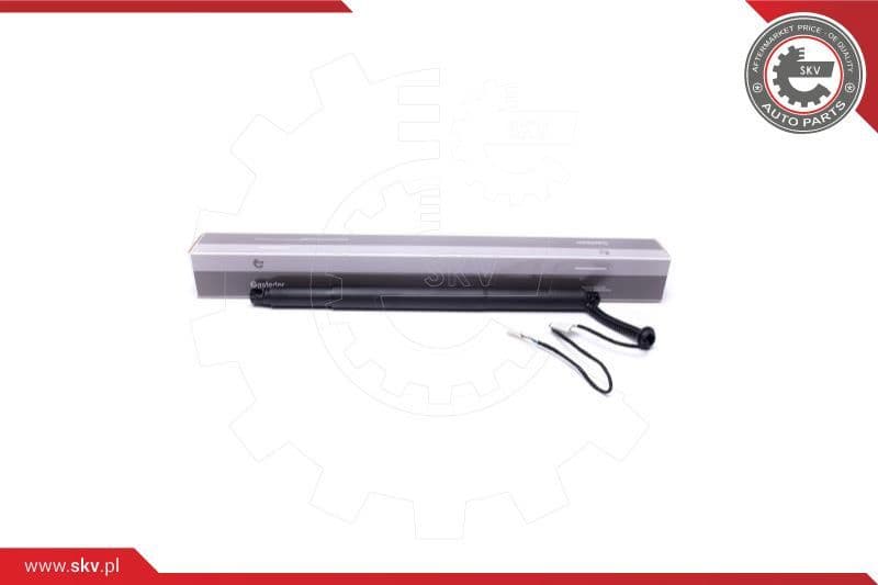 Electric Motor, tailgate 52SKV924