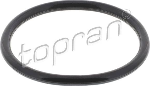 Seal, thermostat 301 785