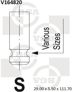 Intake Valve V164820
