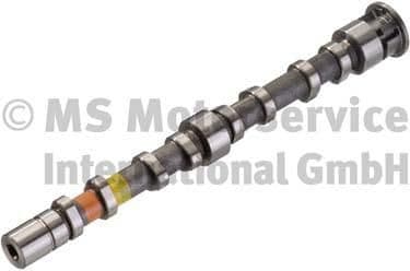 Camshaft 50007025