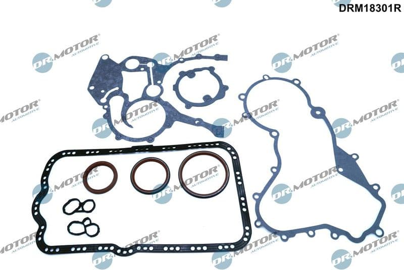 Gasket Kit, crankcase DRM18301R