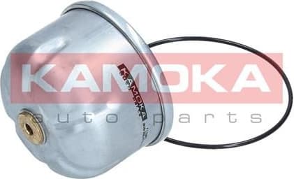 Oil Filter F115001 - image 7