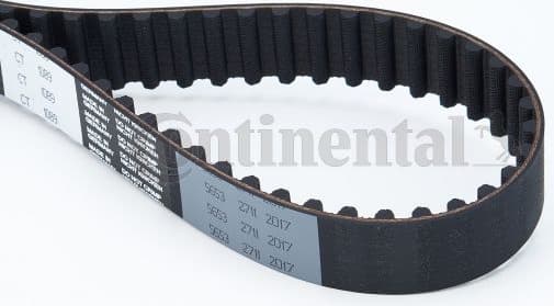 Timing Belt CT1089