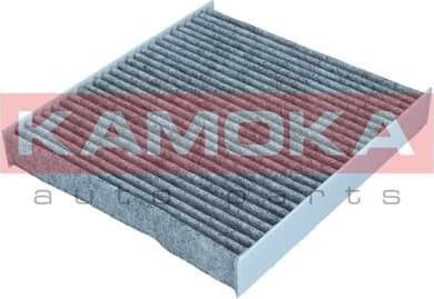 Filter, cabin air F521701 - image 3