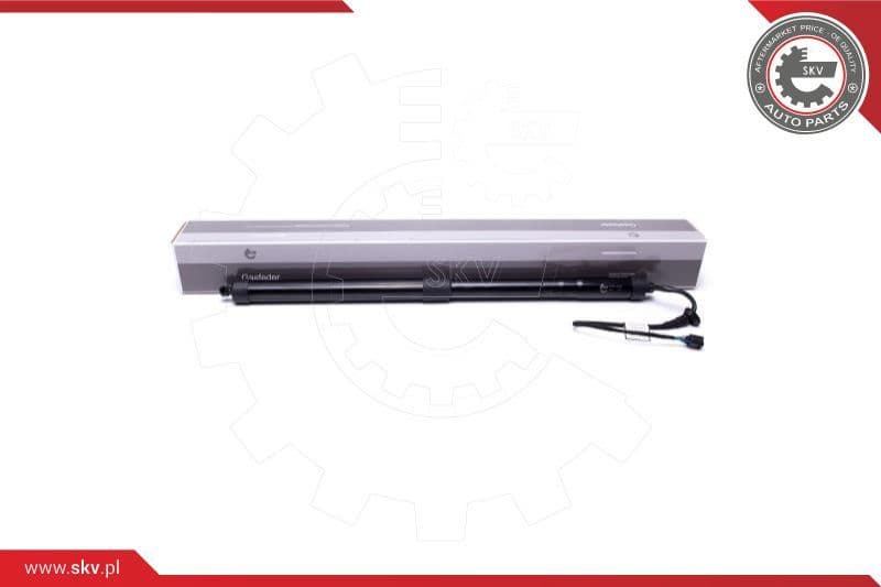 Electric Motor, tailgate 52SKV900