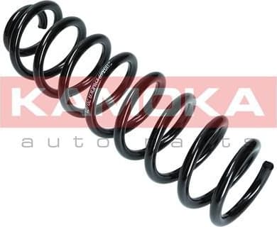 Suspension Spring 2110369 - image 6