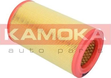 Air Filter F259501