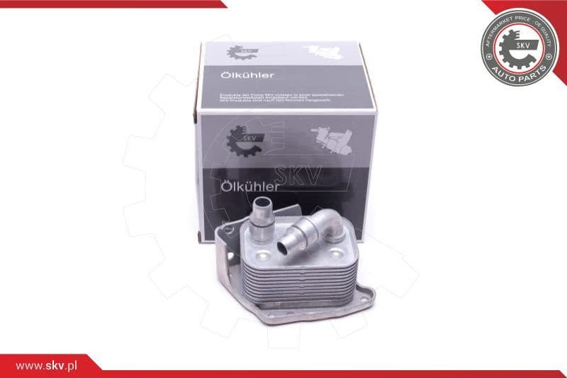 Oil Cooler, engine oil 31SKV223